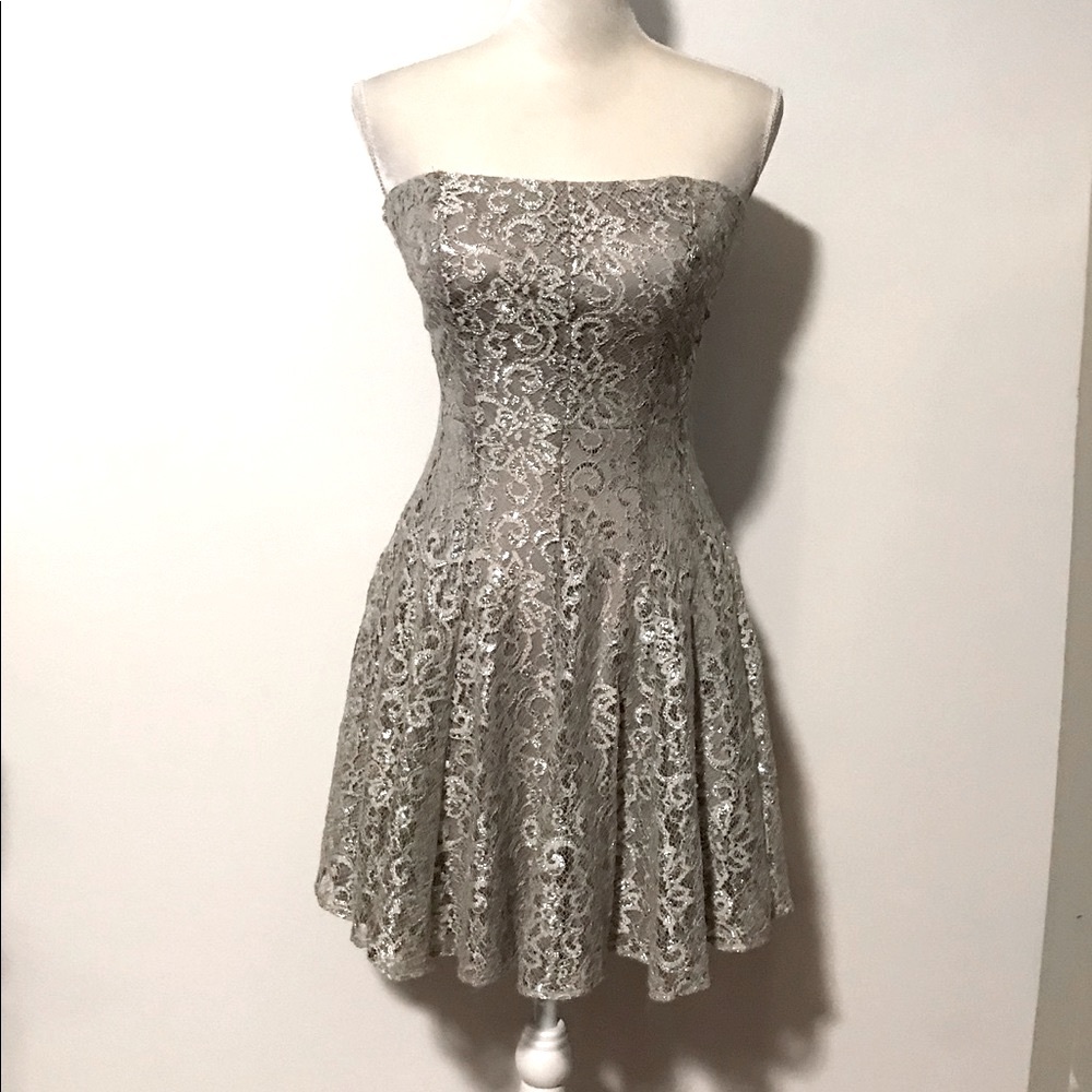 Cache Strapless Dress in Metallic Gray